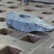 Hammer head