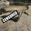 Naked Snail!